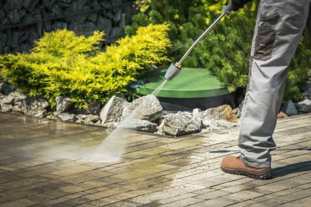 Best Roof Cleaning and Mildew Removal in Munfordville, KY